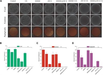 A sono-responsive antibacterial nanosystem co-loaded with metformin and bone morphogenetic protein-2 for mitigation of inflammation and bone loss in experimental peri-implantitis